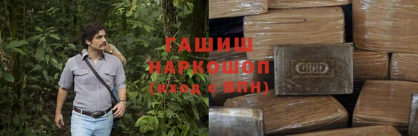 дмт Гусев