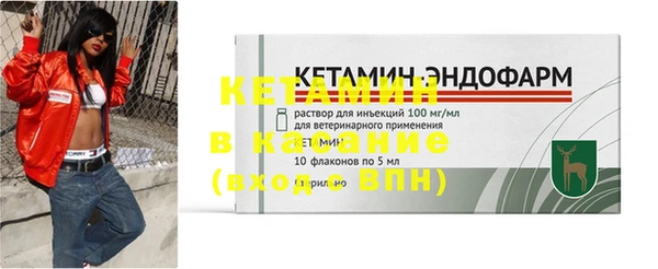 дмт Гусев