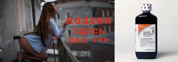 дмт Гусев