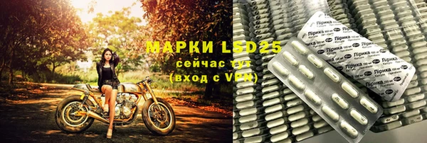 дмт Гусев