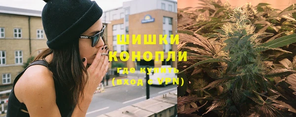 spice Гусь-Хрустальный