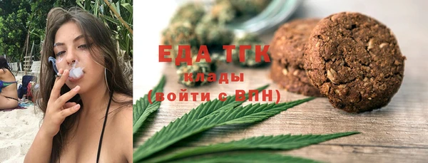 дмт Гусев