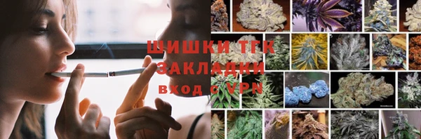 дмт Гусев