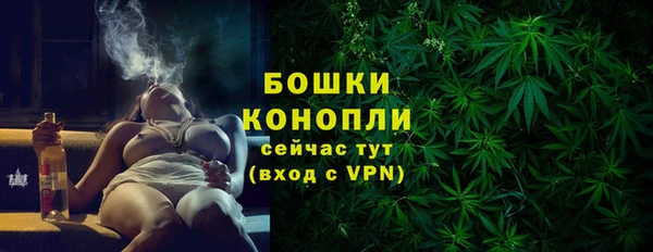 дмт Гусев
