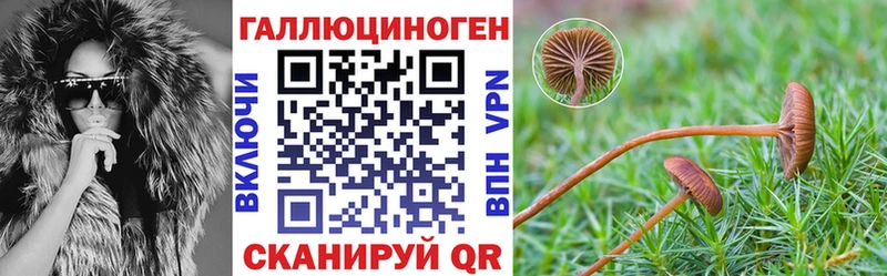 Галлюциногенные грибы ЛСД  Купить  Волгоград 